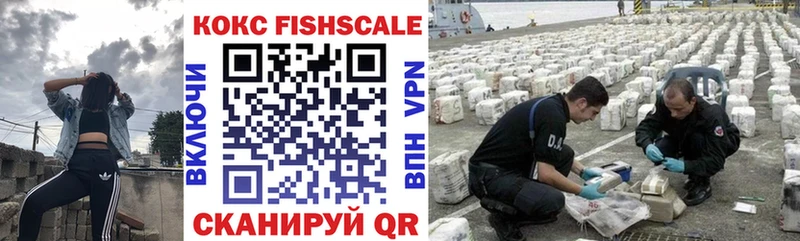 Cocaine FishScale  цена   MEGA ссылки  Калуга 