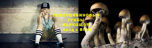 гидра Остров