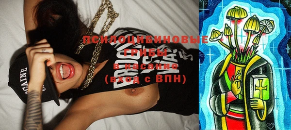 эйфоретик Осинники
