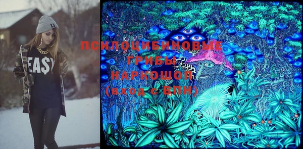 герыч Пестово